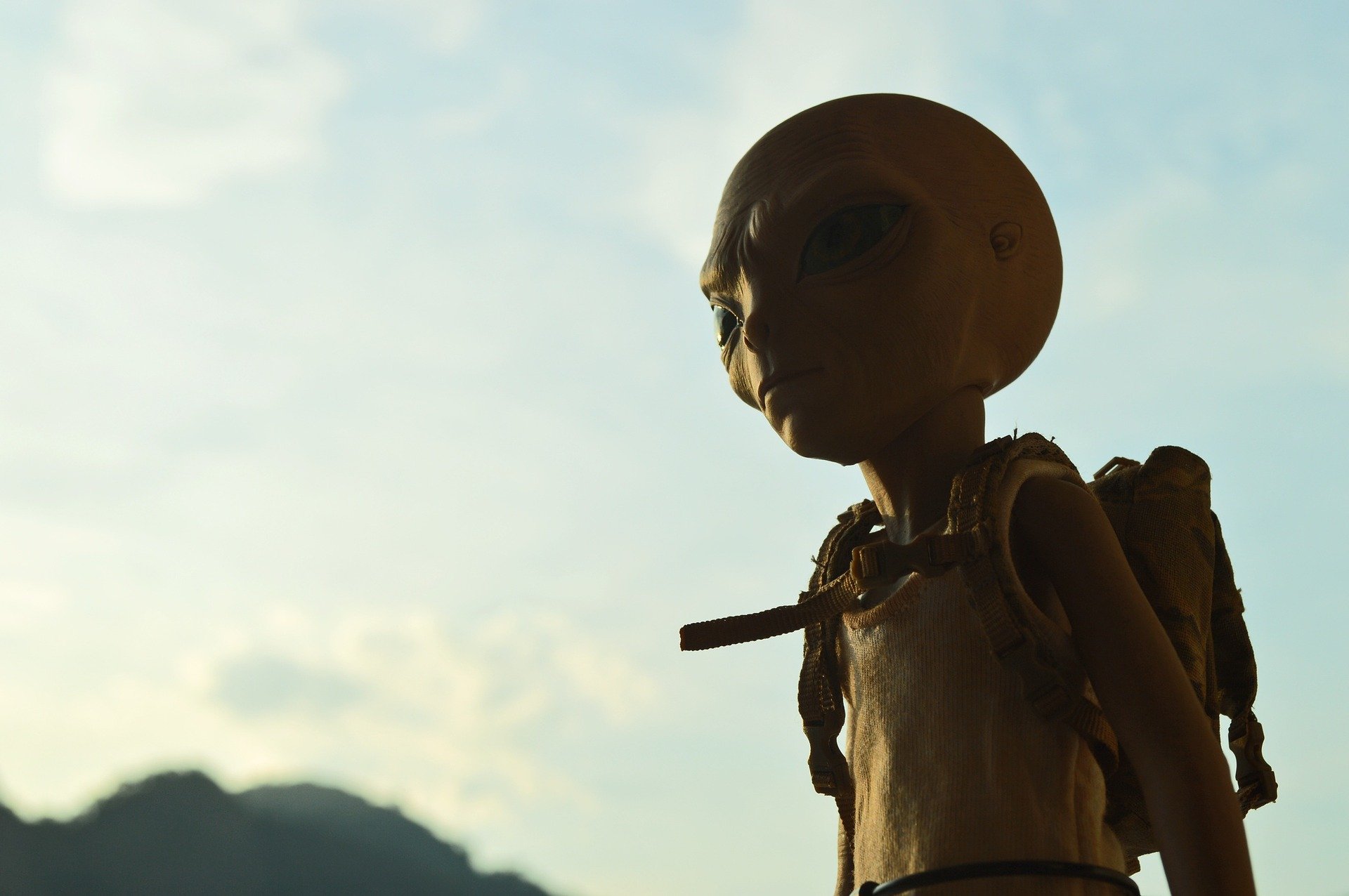 Wari The Alien